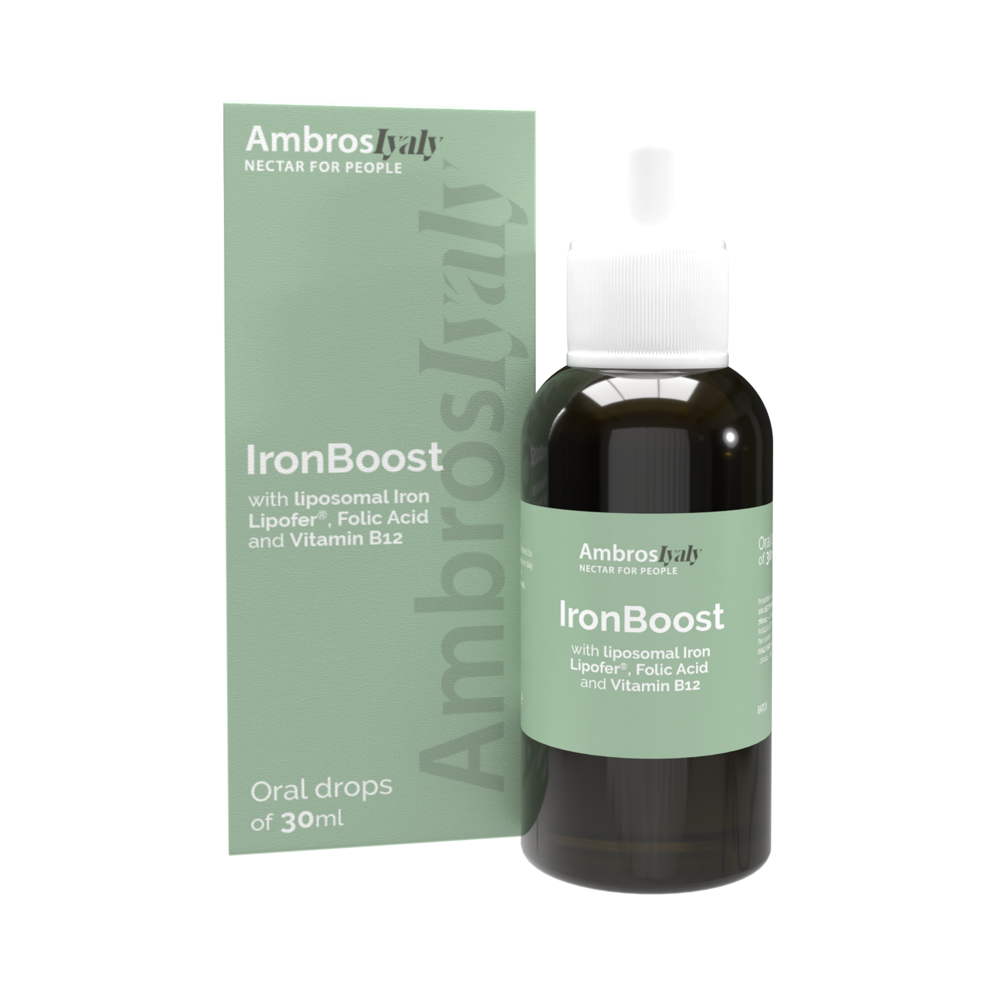 INT019-Vista 1 copia