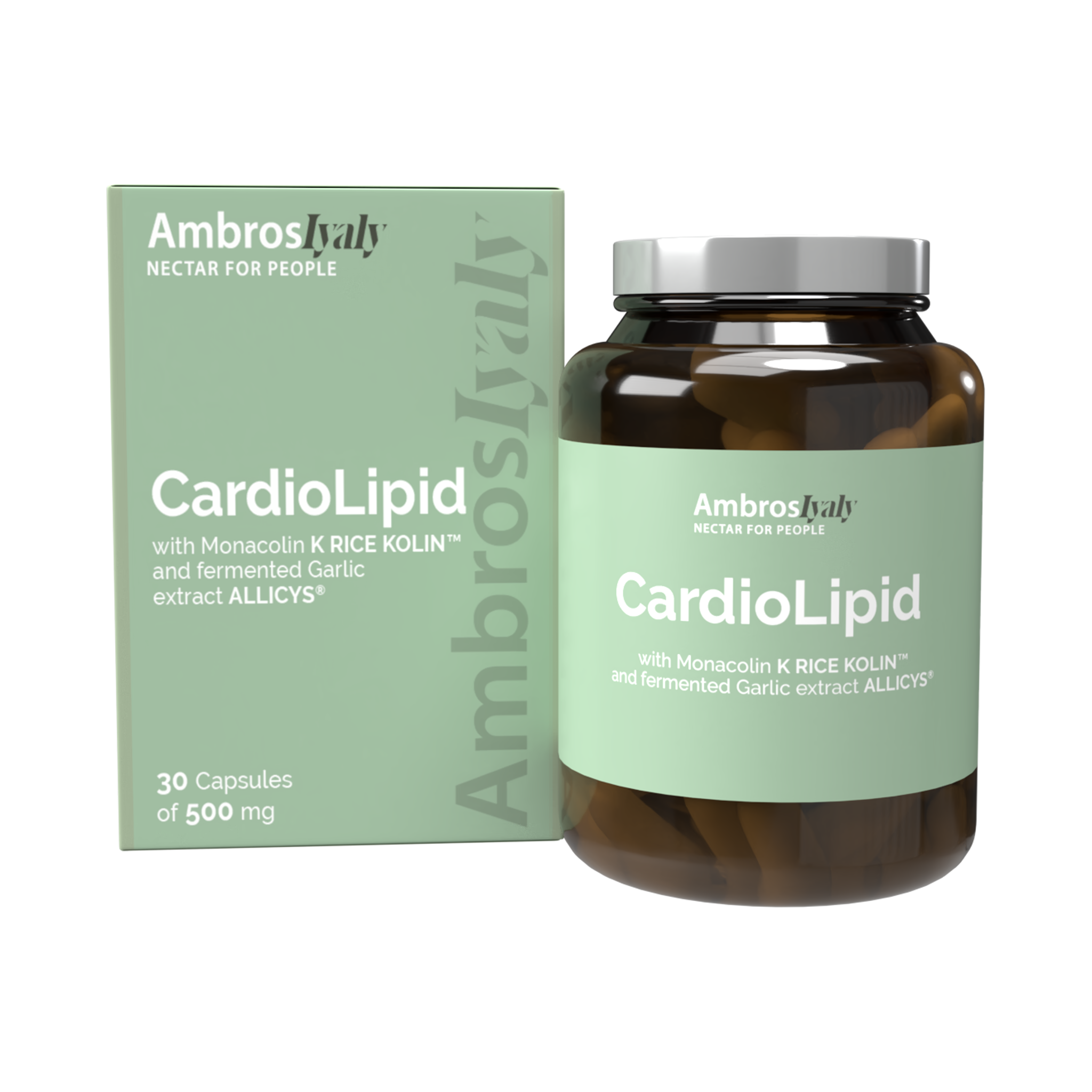 Int021-Vista 1 copia(Conflicted copy 2025-03-31 from DESKTOP-Giuseppe)