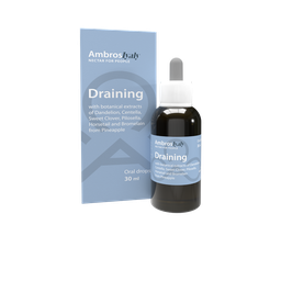 INT005 - Draining - Oral drops 30ml